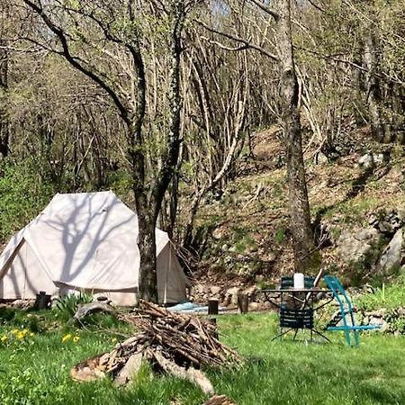 Grande Tente Tipi En Pleine Foret Burzet Zewnętrze zdjęcie